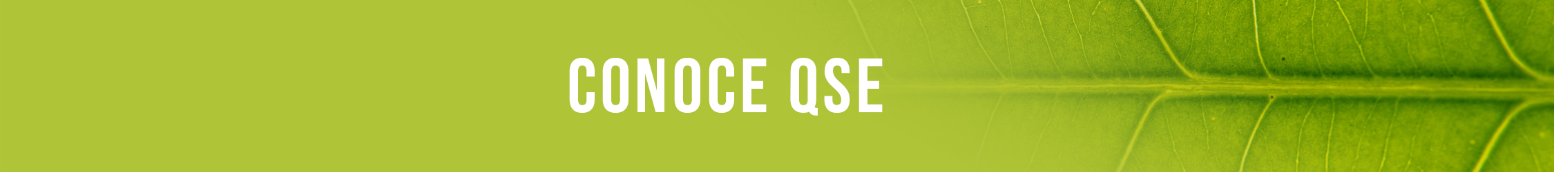 Conoce QSE Quantum Servicios Energéticos